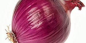 Red Pearl Onion