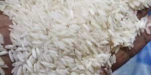 White Rice