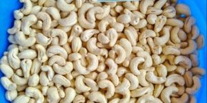 W320 Indian Cashew Nuts
