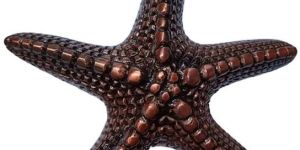 Star Fish Iron Door Knocker