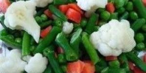IQF Mixed Vegetables