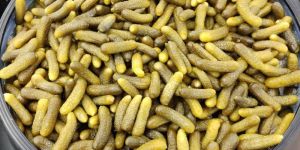 Pickled gherkins 1-4 cm