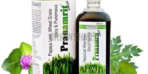 Pranamrit Juice
