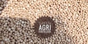 Raw Bentonite Granules