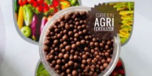 Rhizobium Biofertilizer Granules