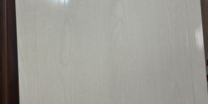 PVC White Premium Door