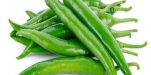 Fresh Green Chilli