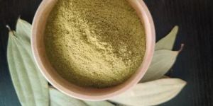 Dehydrated Bay Leaves Powder
