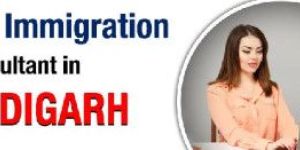 Immigration Consultants