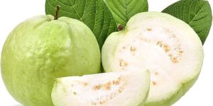 White Guava Pulp