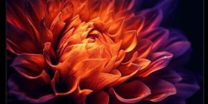 Pansonic 4K-televisions TH-55MX740DX