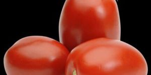 Roma Tomatoes