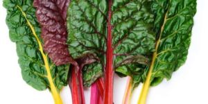 Swiss Chard