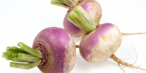 Turnip