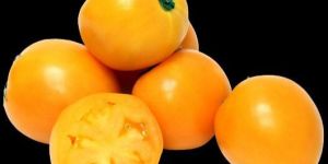 Yellow Cherry Tomatoes