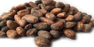 Cocoa Beans