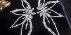 Aegte Shine like a Diamond Premium Earrings