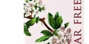 ZEVIC BELGIAN COUVERTURE CHOCOLATE WITH ORGANIC CALIFORNIAN ALMONDS AND KASHMIRI SAFFRON