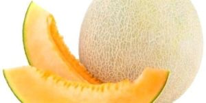 Muskmelon