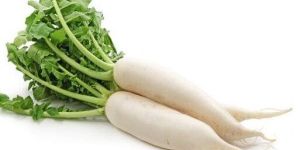 Radish