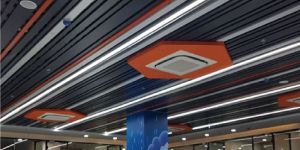 Multi-D Ceiling