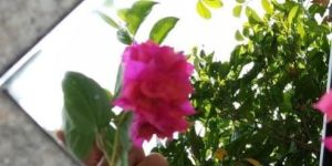 No.8 Mirror Finish Sheets