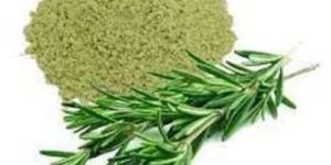 Rosemary Leaves Powder