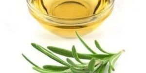 Rosemary Liquid Extract