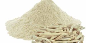 Shatavari Powder