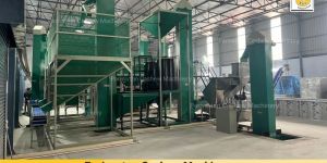 4MT Raw Cashew Nut Processing Plant Setup
