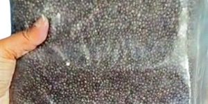 Roasted Cardamom Seeds