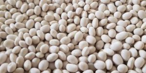 White Pea Beans