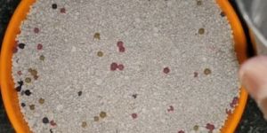 Ball Shape Cat Litter