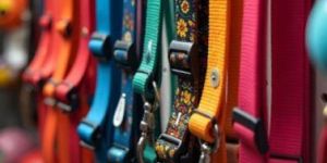 Rubber Pet Flea and Tick Collar