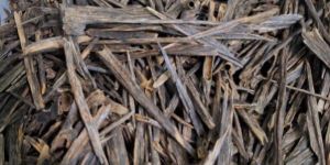 Oud Wood Agar