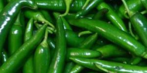 Fresh Green Chilli