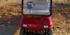 2 Seater Electric Golf Cart