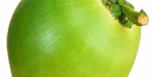 Green Tender Coconut