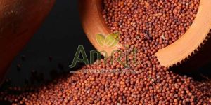 Finger Millet