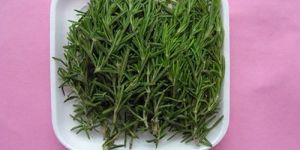 Fresh Rosemary