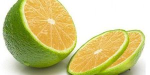 Fresh Sweet Lime
