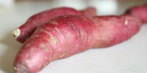 Fresh Sweet Potato