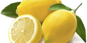 Fresh Yellow Lemon