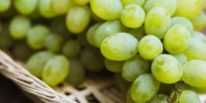 Fresh Grapes