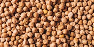 White Chickpeas