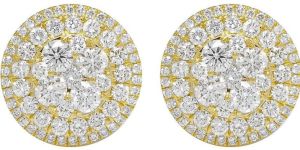 Yellow Gold 10k Exquisite Round Diamond Earrings