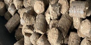 Sawdust Briquettes