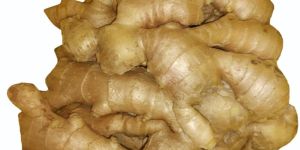 Raw Ginger