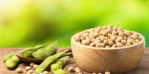 Soya Beans