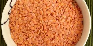 Masoor Dal (Red Lentil)